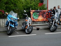 /album/fotogaleria-inicio/fiesta-iguanas-20-5-2011-016-jpg/